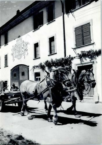 8213 Neunkirch - Bauernhof, Kutsche