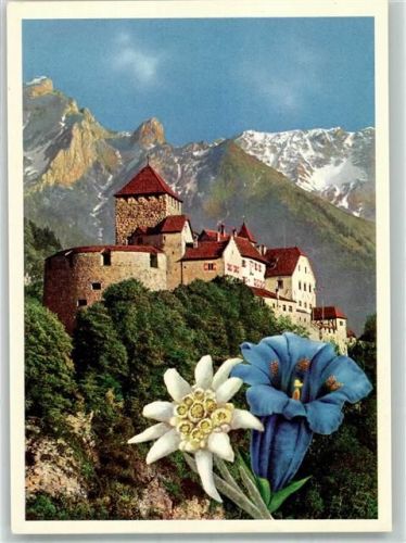 9490 Vaduz Fotomontage AK Schloss Blumen Edelweiß Enzian