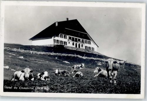 Chasseral - Hotel Chasseral Kühe