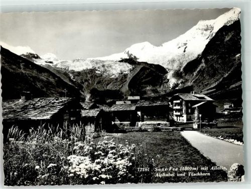 3906 Saas-Fee Foto AK Allalin Alphubel