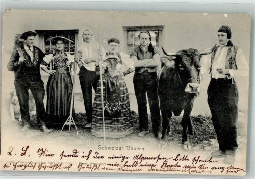Schweizer Bauern Kuh Tracht