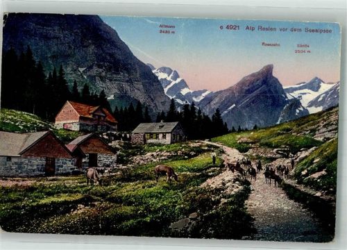 9050 Appenzell Foto AK Alp Reslen Ziege
