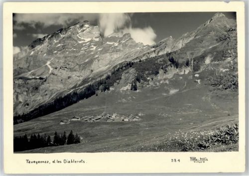 Diablerets - Taveyannaz