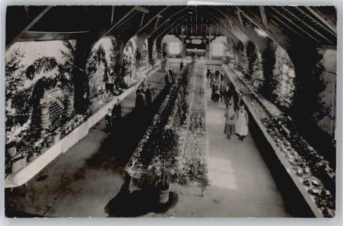 Neuburg - Ausstellung , Foto-Karte