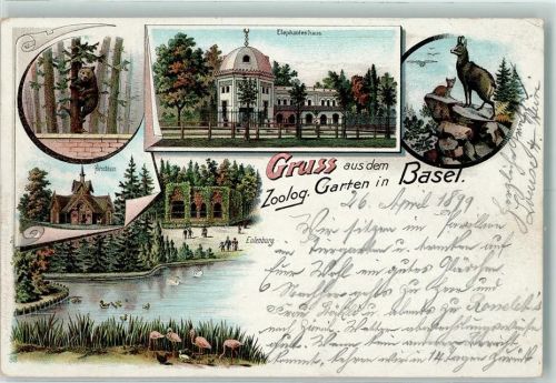 Basel Bâle Zoolog. Garten Braunbär Elefantenhaus Gämse Hirschhaus Eulenburg Flamingos Zoo 1899 Lithographie