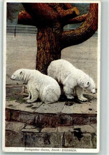 Zürich Eisbären AK Zoo 1932 Gebrauchsspuren