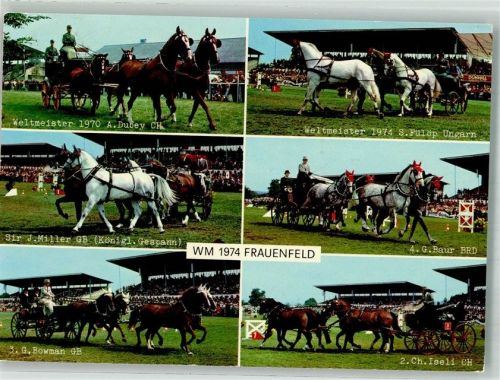 8500 Frauenfeld Foto AK Sportplatz Pferdesport WM 1974 Feldpost Pz Hb D Bttr. 19