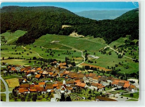 5075 Hornussen - Fliegeraufnahme