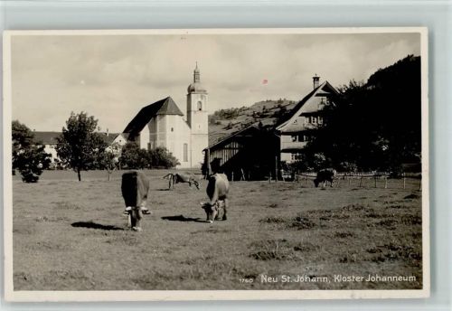 9652 Neu St. Johann - Kloster Johanneum Kühe