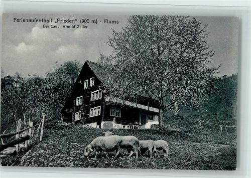 8890 Flums - Ferienhaus Frieden, gute Erhaltung AK