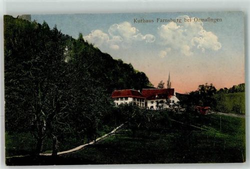 4466 Ormalingen 1915 Gebrauchsspuren Kurhaus Fanrsburg Lithografie