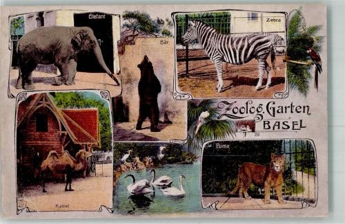 Basel Bâle Bär Elefant Puma Kamel Zoo 1906