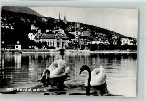 2000 Neuchâtel Neuenburg - Schwäne Ortsansicht vom See