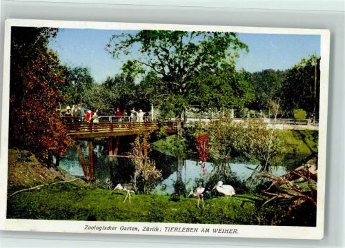 Zürich Zoologischer Garten Tierleben am Weiher Zoo