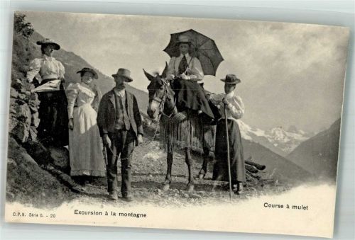 Alpenblick Ausflug in die Berge Pferd Motiv Schweiz Foto AK