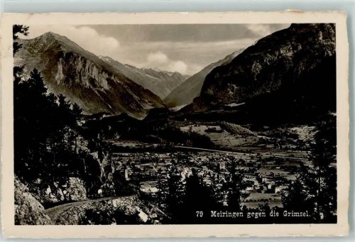 3860 Meiringen