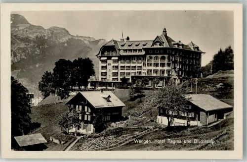 3823 Wengen Foto AK Hotel Regina Blümlisalp