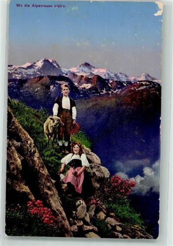 Wo die Alpenrosen blühn Schaf Tracht Motiv Schweiz 1916