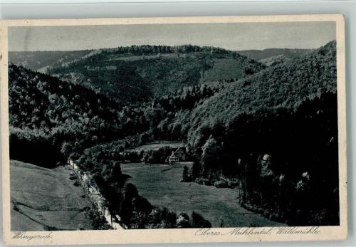 O3700 Wernigerode Waldmühle Heilstätte 1930 AK Tuberkulose