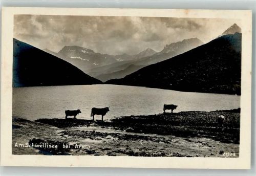 7050 Arosa - Schwellisee Kühe Verlag Wehrli