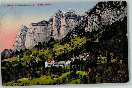 8881 Walenstadtberg - Sanatorium