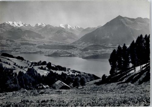 3625 Heiligenschwendi - Thunersee, Kandertal, Blümlisalp, Niesen