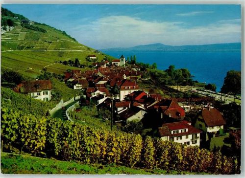 2513 Twann 1978 - Douanne Bielersee Reben