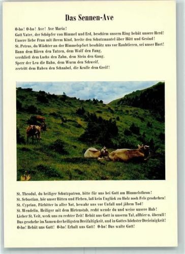 9497 Malbun - Sennen-Ave