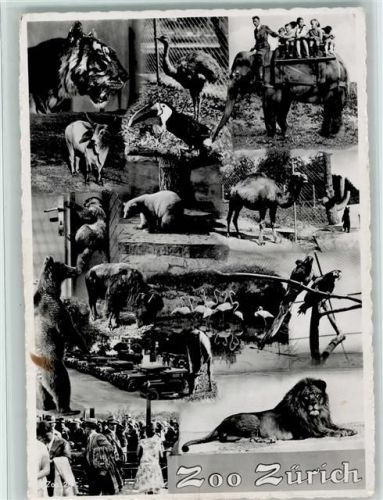 Zürich Mehrfachbilder AK Zoo 1938