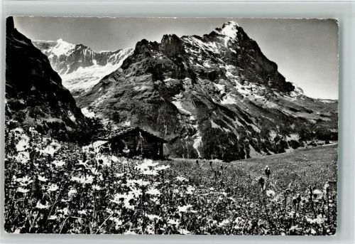 3818 Grindelwald - Berghütte Fiescherhorn u. Eiger