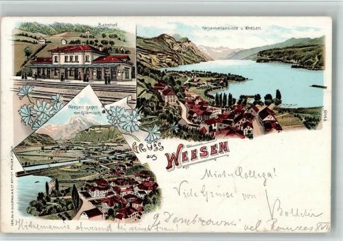 8872 Weesen 1899 BOAKC Lithographie Bahnhof