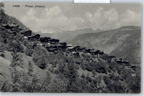 3961 Zinal - Pinsec Gesamtansicht