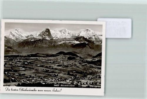 3638 Blumenstein FOTO KEINE AK Neujahr Foto 10cm x 7cm, rückseitig Haftspuren