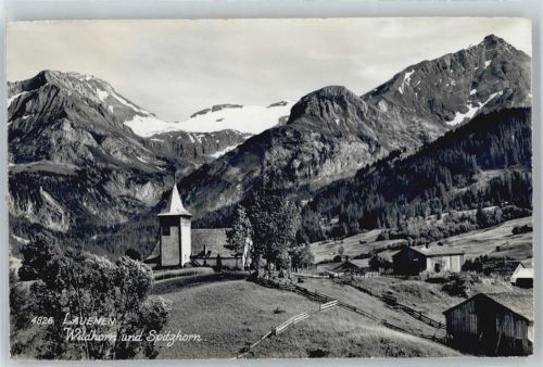 3782 Lauenen b. Gstaad - Teilansicht