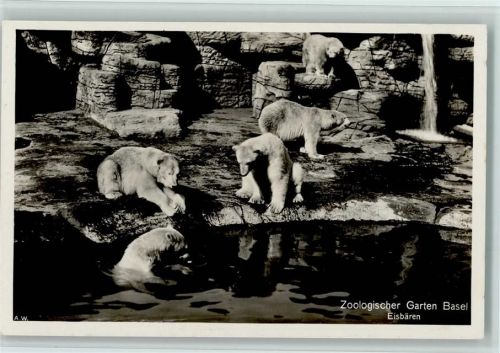 Basel Bâle Zoologischer Garten Eisbären Zoo