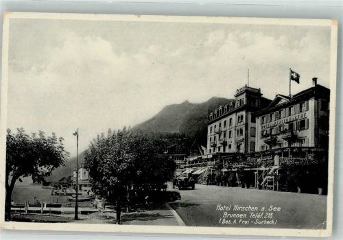 6440 Brunnen Gebrauchsspuren Auto Hotel Hirschen am See