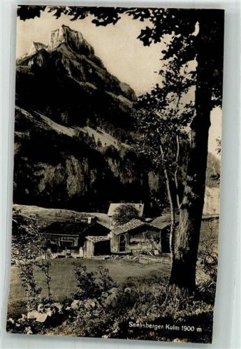 6377 Seelisberg Foto AK Seelisberger - Kulm