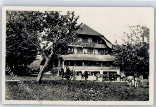 Bütschelegg - Pension, Pferde