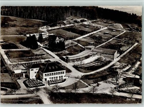Zoo 130 - Tilansicht AK Zoo 1956 Foto AK