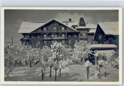 3780 Gstaad Foto AK Winter Hotel Bernerhof