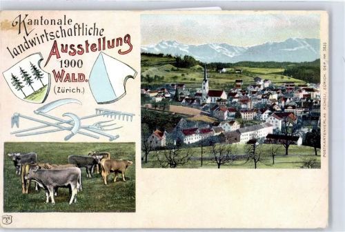 8636 Wald ZH - Kantonale landwirtschaftliche Ausstellung