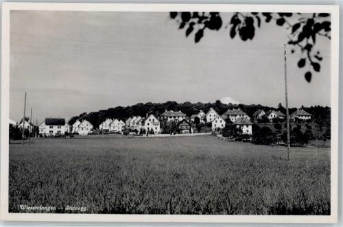 8542 Wiesendangen - Steinegg