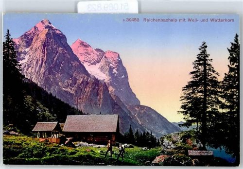 3800 Interlaken - Reichenbachalp mit Well- und Wetterhorn