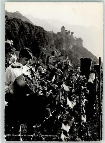 9490 Vaduz Foto AK Weinlese Schloss