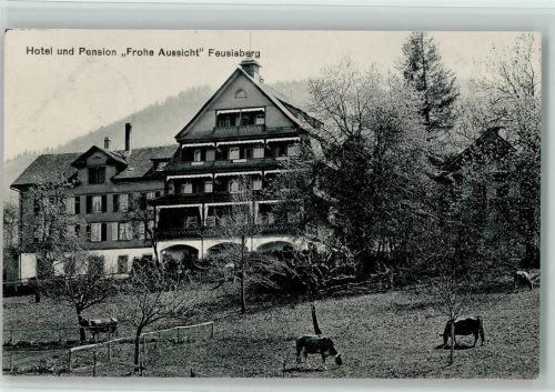8835 Feusisberg 1914 - Hotel Pension Frohe Aussicht