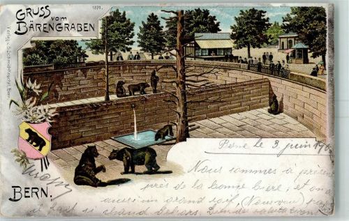 3000 Bern Berne 1902 Lithographie Bärengraben Bären