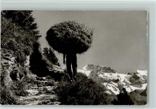 1949 Foto AK Der Wildheuer AK