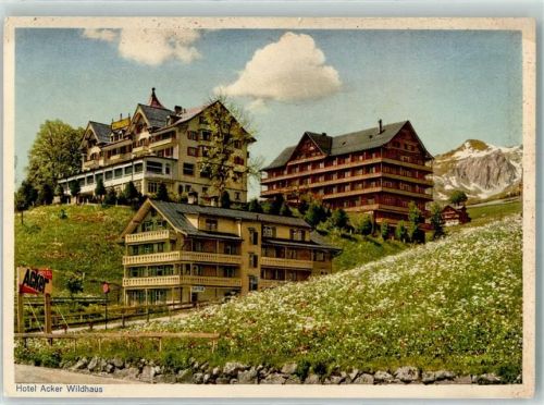 9658 Wildhaus Gebrauchsspuren Hotel Acker