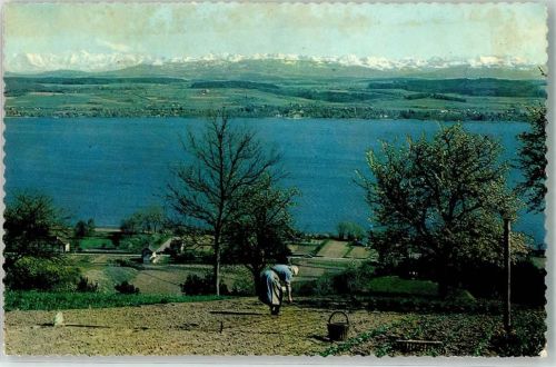 3280 Murten Morat - Murtensee