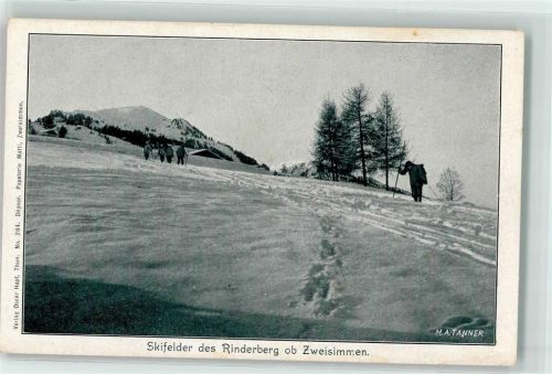 Rinderberg - Skifelder